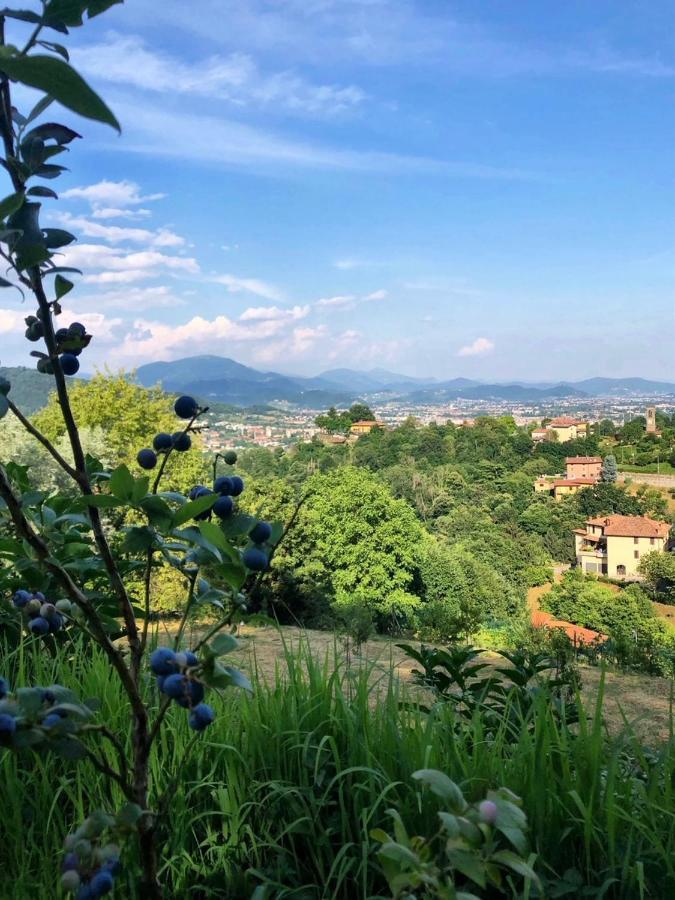 Foresteria Antica Bastia B&B Bergamo Exterior photo